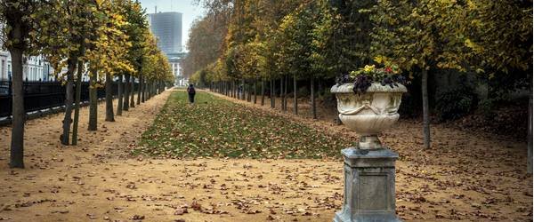 Lettre d’info de Medimmigrant - novembre 2025