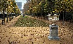 Lettre d’information - novembre 2025