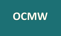 OCMW - wetswijzigingen behandeling steunaanvraag