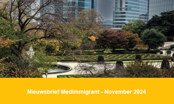 Nieuwsbrief Medimmigrant - november 2024