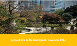 Lettre d’information - novembre 2024